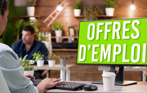 L’offre d’emploi